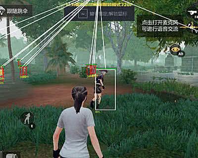 和平精英半火igg_和平精英igg挂防  第1张