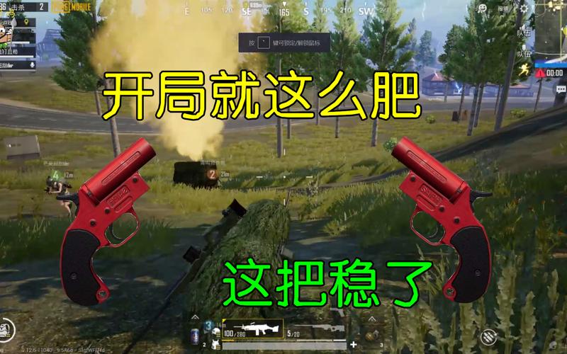 和平精英杀死队友_和平精英把队友给杀死的外挂  第2张