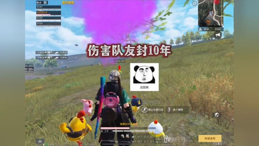 和平精英主播全是挂_和平精英主播被外挂打鸟  第1张
