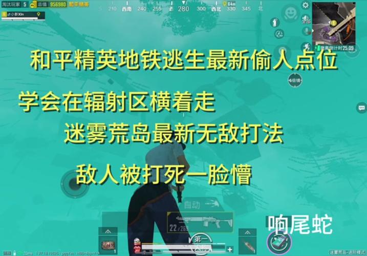 怎么举报和平精英_和平精英举报外挂反馈图片  第1张