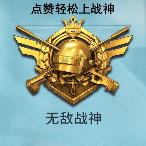 和平精英辅助器带悬浮窗_和平精英海盗分屏雷达辅助  第1张