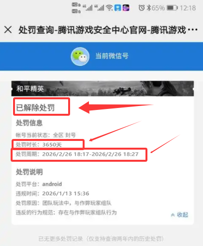 👍今日推荐👍和平精英【蓝猫容器直装】人物透视 锁头锁胸锁死自瞄 物资显示  第2张